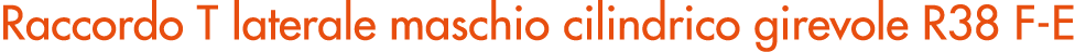 Raccordo T laterale maschio cilindrico girevole R38 F E